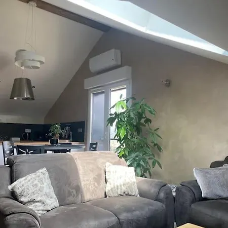 La Fleur D'abeille Avec Belle Vue Et * 热拉梅