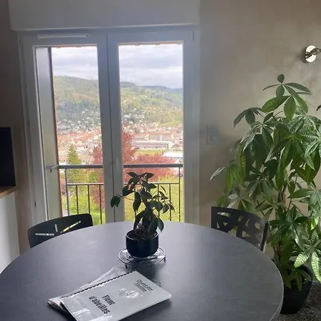 La Fleur D'abeille Avec Belle Vue Et Gerardmer