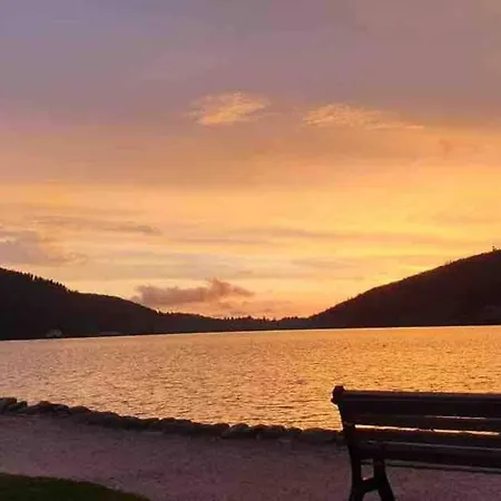 La Fleur D'abeille Avec Belle Vue Et