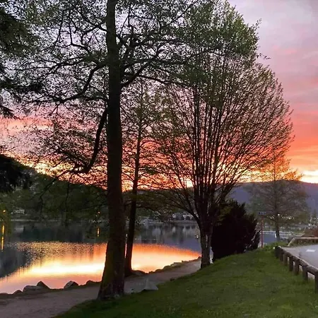 La Fleur D'abeille Avec Belle Vue Et *