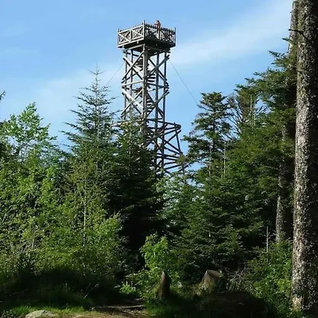 La Fleur D'abeille Avec Belle Vue Et 公寓 热拉梅
