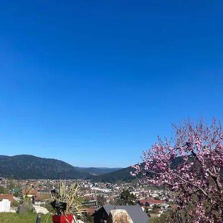 La Fleur D'abeille Avec Belle Vue Et