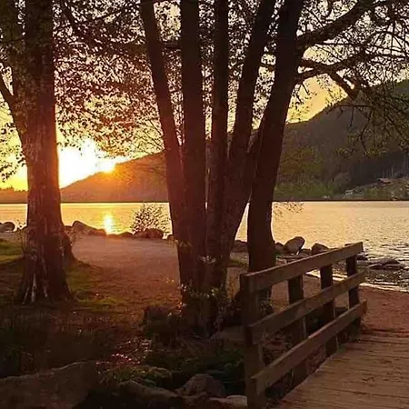 La Fleur D'abeille Avec Belle Vue Et