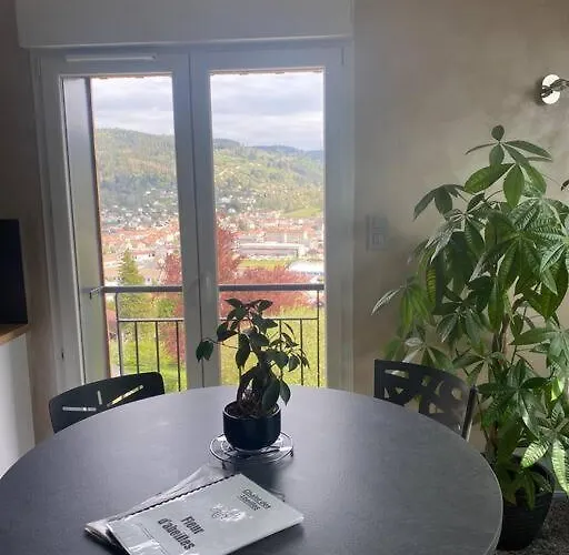 La Fleur D'abeille Avec Belle Vue Et Gérardmer