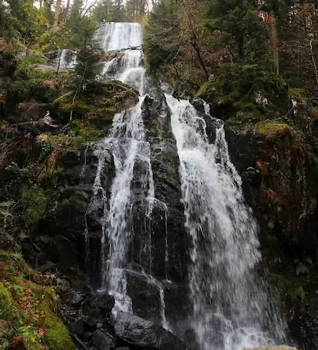 La Fleur D'abeille Avec Belle Vue Et Apartmán *