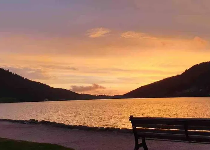 La Fleur D'abeille Avec Belle Vue Et