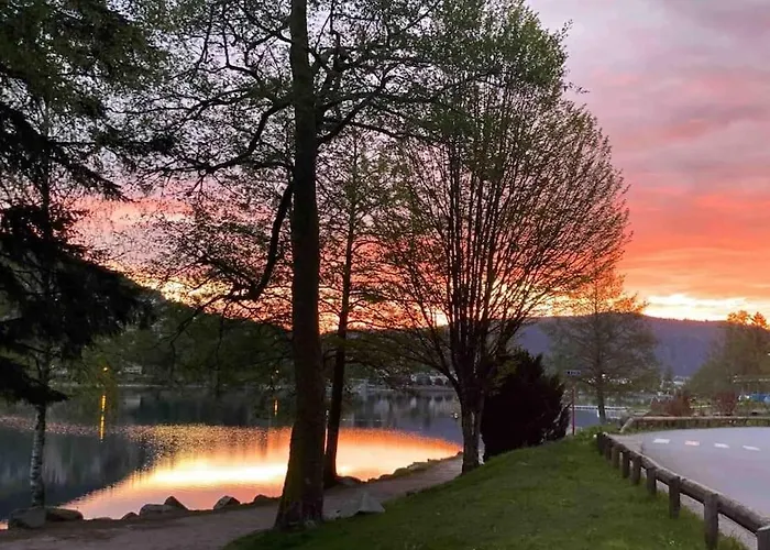La Fleur D'abeille Avec Belle Vue Et *