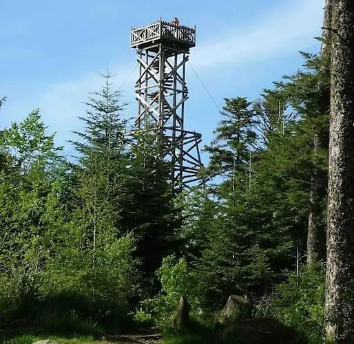 La Fleur D'abeille Avec Belle Vue Et 公寓 热拉梅