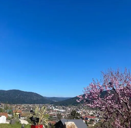 La Fleur D'abeille Avec Belle Vue Et