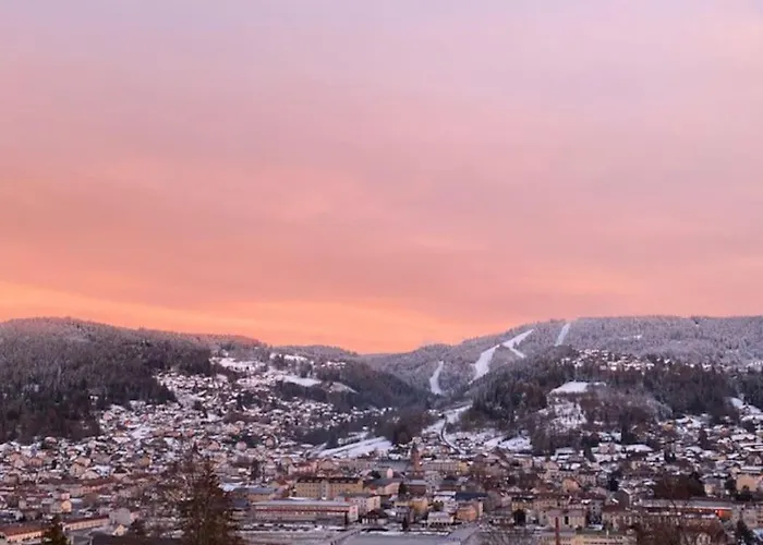 La Fleur D'abeille Avec Belle Vue Et