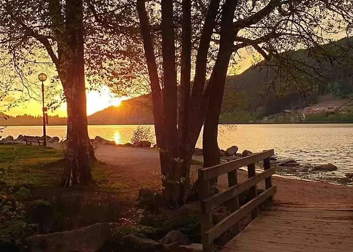 La Fleur D'abeille Avec Belle Vue Et